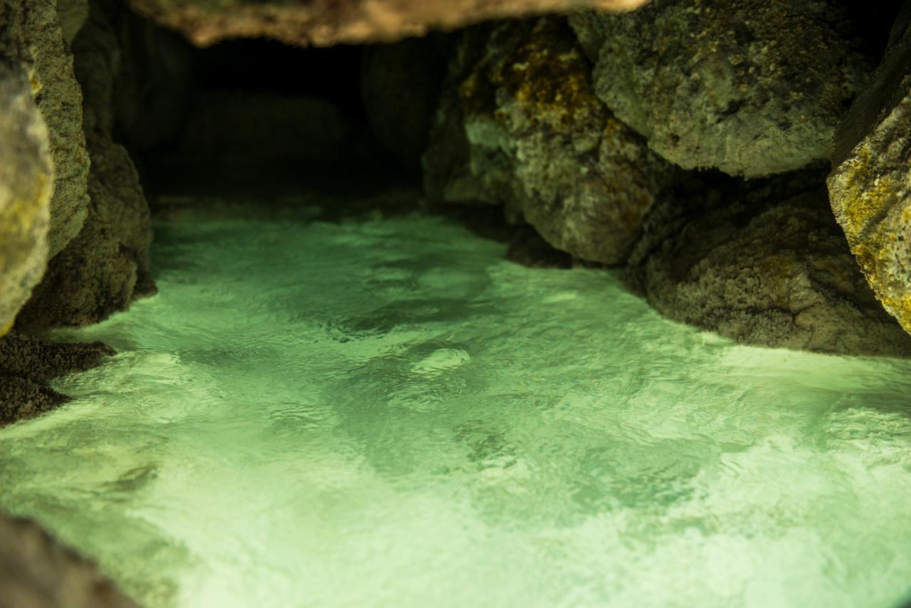 Takamiya Ryokan Miyamaso Yamagata  Buitenkant foto